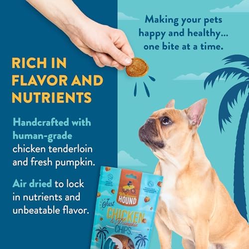 Chicken & Pumpkin Chips – Single Ingredient Dog Treats, All Natural & Healthy Training Snacks for Small, Medium & Large Breeds, Puppies – High Protein, 3oz (Pack of 2)