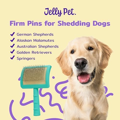 Jelly Pet Universal Slicker Brush for Dogs, Small