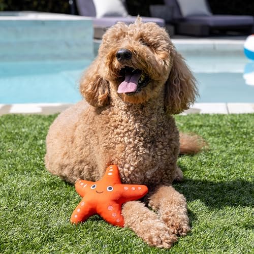 Fringe Studio Shelly Floating Dog Toy, Pet Shop Collection