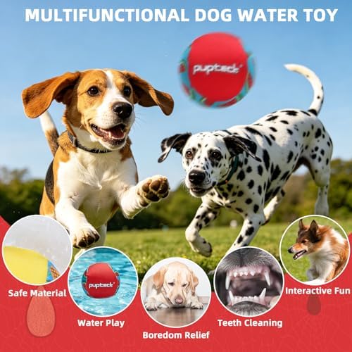 PUPTECK Floating Dog Pool Toys, Bouncing Balls, 2-Pack, Pineapple & Watermelon