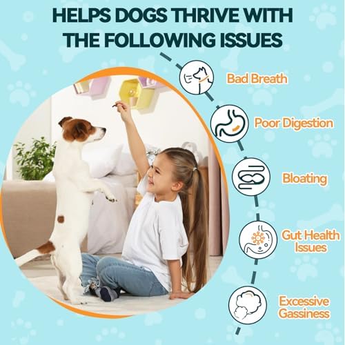 Probiotic & Flea Chews for Dogs - 200 Each - Natural Flea & Tick Prevention with Skin Support + Digestive, Gas & Immune Relief with Pumpkin & Enzymes - Chicken Flavor