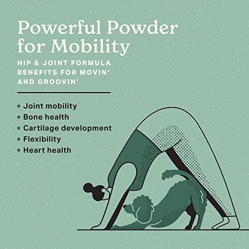 The Missing Link Hip & Joint + Probiotics Supplement 1lb Bag - Superfood Powder for Dog Cartilage & Bone Health, Joint Mobility & Flexibility