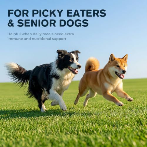 Lactoferrin Supplement Powder for Dogs, Immune, Bone & Joint Nutrition