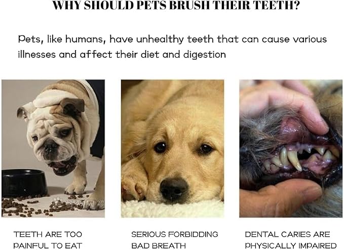 Pet Finger Toothbrush Set – Soft Silicone Toothbrush for Dogs & Cats – Gentle Finger Brush for Small Pets Dental Care (Pink Box Set)