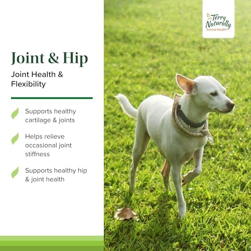Terry Naturally Animal Health Joint and Hip - Joint Health - 60 Count