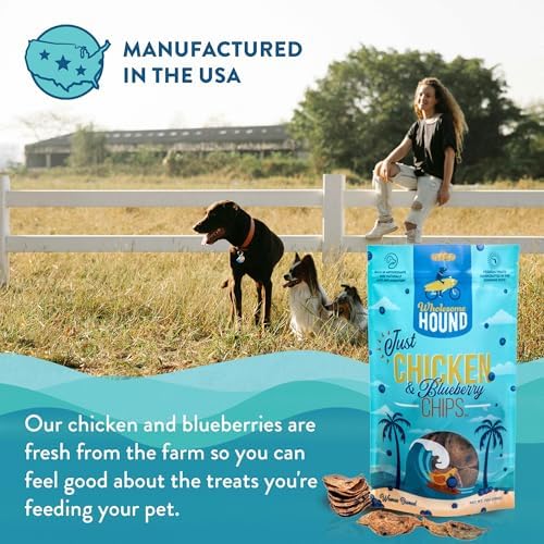 Chicken Blueberry Chips Dog Treats, 2-Ingredient, 7oz