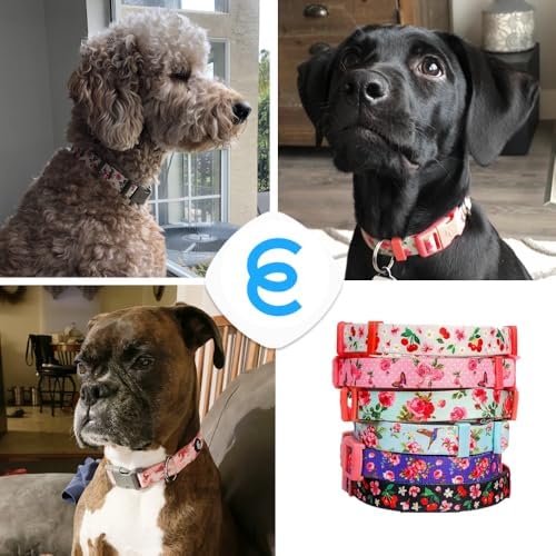 Blueberry Pet 7 Patterns Cherry Garden Grey Adjustable Dog Collar with Dainty Flowers, Medium, Neck 14.5"-20"