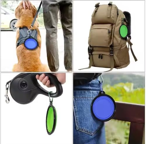 Collapsible Pet Bowl Set with Carabiner Clip, Purple & Pink