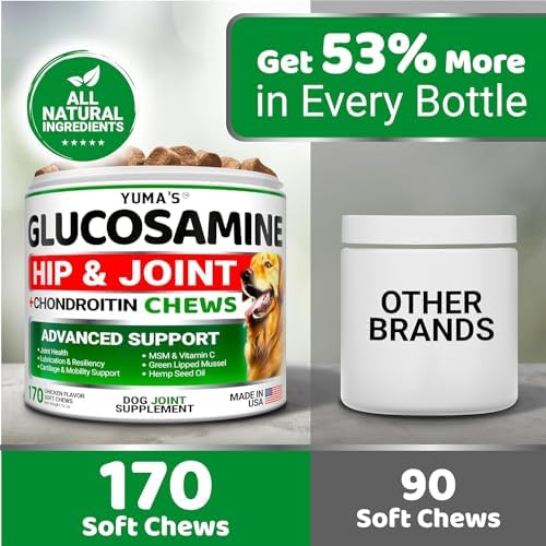 (2 Pack) Glucosamine for Dogs - 340 Ct - Hip and Joint Supplement for Dogs