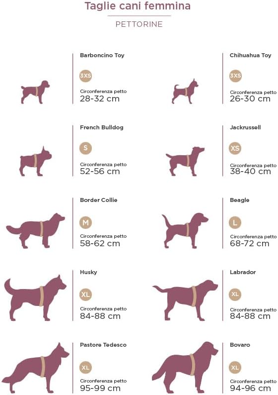 MyFamily Made in Italy Polyester Dog Bib, Your Dog's Master Data Always with You, Smartphone Connection with NFC Technology, Model K, memopet Collection
