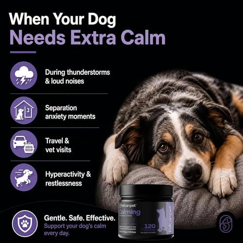 Calming Chews for Dogs, L-Theanine, Chamomile