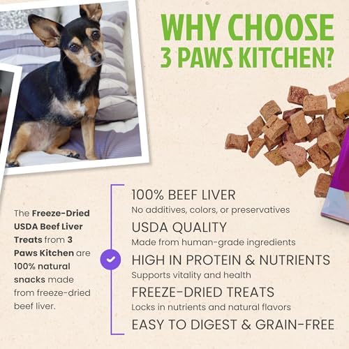 Freeze Dried Dog Treats - Single Ingredient Beef- Healthy, High Value - Freeze Dried Dog Food - Made in the USA – 4 Ounce