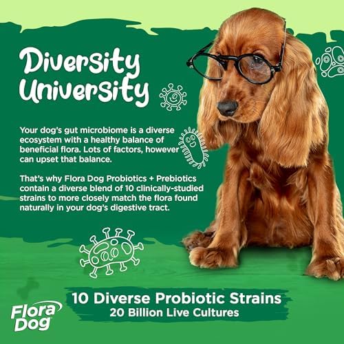 Vital Planet - Flora Dog Probiotic Powder Supplement with 20 Billion Cultures and 10 Strains, High Potency Immune and Digestive Support Probiotics for Dogs, 7.84 oz., 222 Grams, 60 Servings