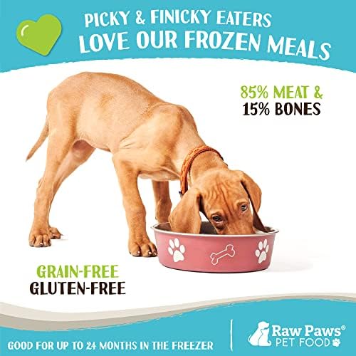 Raw Paws Frozen Raw Wild Salmon Recipe Dog & Cat Food, 1-lb Rolls (20 Pack)