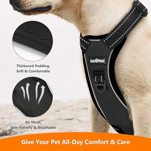 VavoPaw Dog Seat Belt Vest Harness for Car, 2 in 1 Seatbelt Buckle