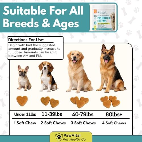 Dog Probiotic Chews for Digestive Health – Probiotics for Dogs with 10 Billion CFU, Prebiotics, Digestive Enzymes – Gut Health, Yeast, Itchy Skin & Itchy Ears – Diarrhea & Constipation – 200 Chews