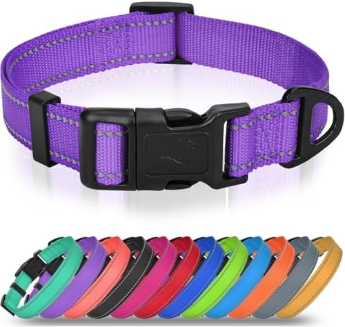 Joytale Feather-Light Dog Collar for Medium & Large Dogs, 1", Purple