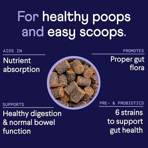 Finn Digestive Probiotics for Dogs - Pumpkin & Prebiotics - Peanut Butter