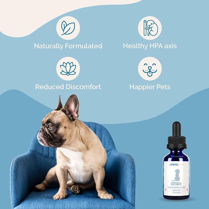 PranaPets Adrenal Balance for Dogs with Cushing’s | Naturally Relieves Symptoms of Adrenal Imbalance in Dogs | Herbal Formula for Balanced Adrenal Function
