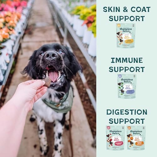 Shameless Pets Variety Soft-Baked Dog Treats - 5-Pack, 6 oz Each