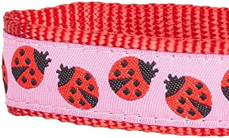 Blueberry Pet Essentials 2 Patterns Durable Pink Webbing Ladybug Designer Dog Leash 5 ft x 5/8", Small, Basic Nylon Leashes for Dogs