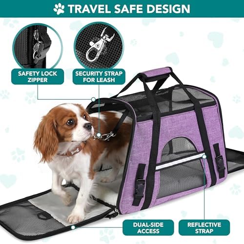 PetAmi Airline Approved Pet Carrier, Cats & Small Dogs, Small, Heather Purple