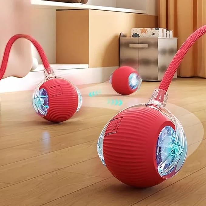 Automatic Ball for Small Dogs & Cats - Activated Moving Toy, Rechargeable, Self Play, Ball Toy with Long Tail Teaser
