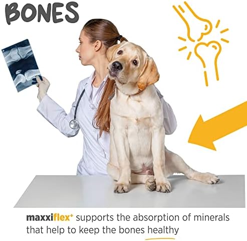 maxxipaws maxxiflex+ Dog Hip & Joint Support, Glucosamine & Collagen 120ct