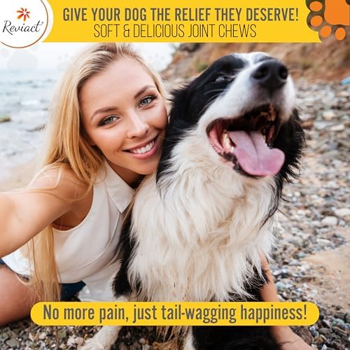 Advanced Canine Joint Supplement – Joint Care for Dogs – Active Dog Supplement with Devil’s Claw Boswellia & Turmeric – Tasty Dog Supplement for All Dog Breeds and Ages