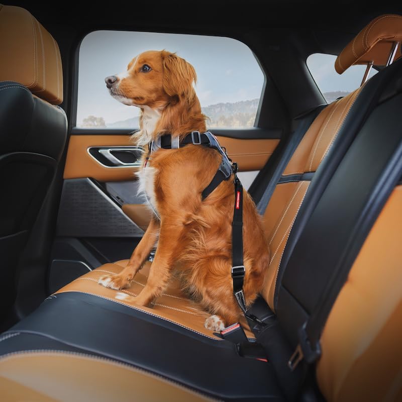 EzyDog Click ISOFIX Standard Dog Seat Belt Restraint, 17-26in
