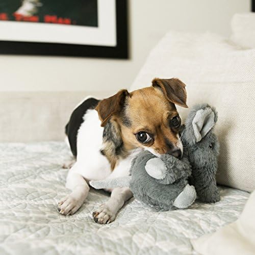 Kong Comfort Kiddos Lion Dog Toy, X-Small