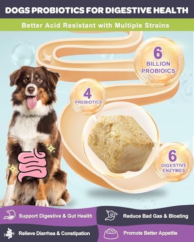 NATURE TARGET Probiotics for Dogs, Salmon-Flavored - 120 Counts