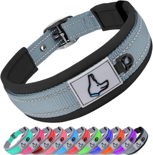 Joytale Reflective Dog Collar for Medium Dogs with Wide Padding, Gray