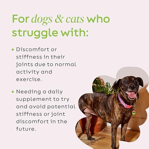 Super Snouts Joint Power Supplement Powder for Dogs & Cats, 2.64 oz Jar