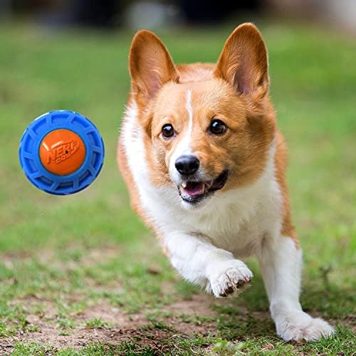 3in TPR EXO Squeak Ball - Blue/Orange
