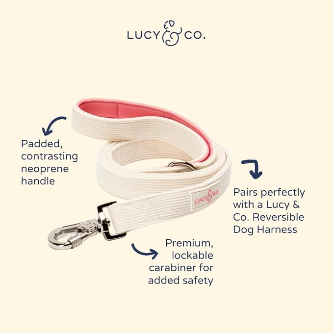 Lucy & Co. Ivory Corduroy Dog Leash, Durable Dog Lead with Heavy Duty Hardware, Large