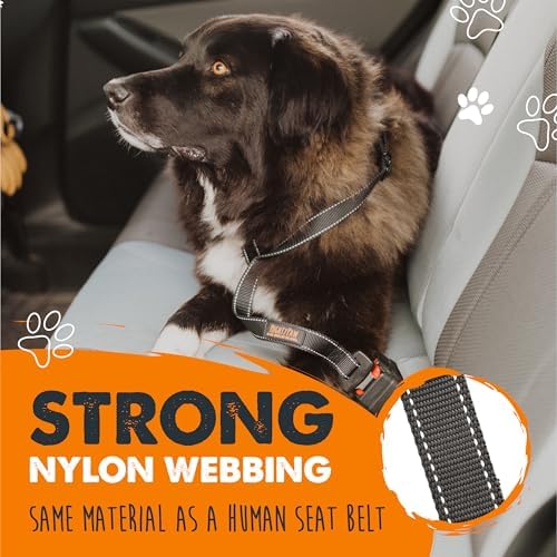 Mighty Paw Dog Seat Belt for Car, Heavy-Duty Aviation Aluminum Carabiner