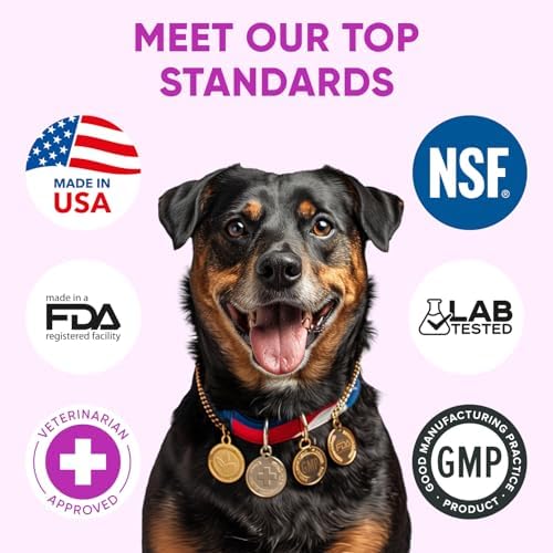 Dog Allergy Relief Chews for Itchy Skin - Seasonal and Food Allergy Chews for Shedding, Licking Paws, Hot Spot, Ears - USA Product - Omega 3 Fish Oil Skin & Coat Supplement - Anti Itch Immune Treats