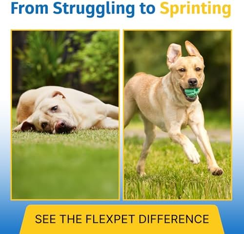 Hip & Joint Supplement for Dogs & Cats with Cetyl Myristoleate, Glucosamine, Collagen, MSM - Advanced Joint Support for Mobility, Senior Pets, Small & Large Breeds - 180 Tablets (Pork Liver)
