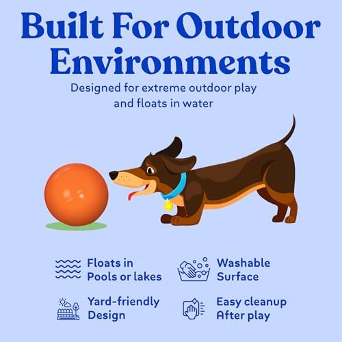 Doggie Dooley Virtually Indestructible Dog Ball - 8 Inch Hard Plastic Interactive Dog Toy for Large Breeds Over 35+ lbs - Built for Herding & Push Play - Floats in Water, Made in USA - Orange
