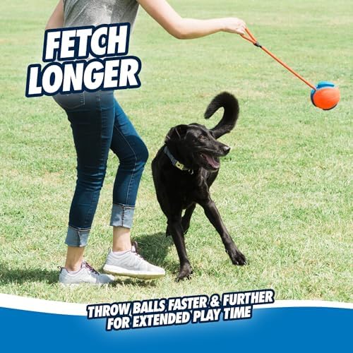 Chuckit! Rope Fetch Dog Toy, Ball on Rope, Durable EVA Rubber, 5.5-in | 18-In Rope Toy Doubles as a Fetch and Tug-of-War Toy for Dogs, Built in a Durable Orange and Blue Design for Play