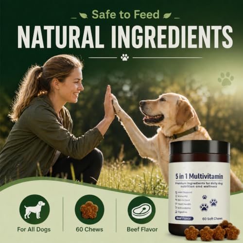 Multivitamin Daily Soft Chews for Dog, 5 in 1 multivitamin for Hip & Joint, Heart Health, Skin & Coat, Gut & Immune Support, with Probiotics, Vitamin A/D3/E, Beef Flavor, 60 Chews (1)