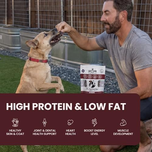 Beef Chips for Dogs | Single Ingredient Beef Jerky Natural Dog Treats, 4oz