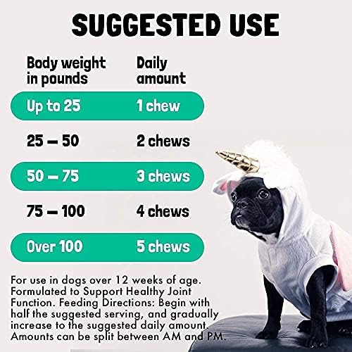 LEGITPET Hemp Hip & Joint Supplement for Dogs 120 Soft Chews and Wild Alaskan Salmon Oil for Dogs & Cats 8 oz Bundle - Supports Joint Function, Immune & Heart Health - Natural Pain Relief and Mobility