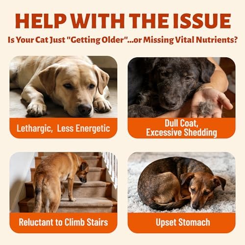 330 Bites Dog Vitamins and Supplements for Immunity Support | Dog Multivitamin with Taurine for Dogs, Coq10, Glucosamine,Omega 3 & Msm. Supports Heart Health & Antioxidant Protection