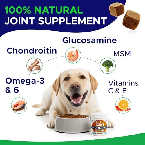 Glucosamine for Dogs Hip & Joint Supplement - Chondroitin, Omega-3, MSM - Joint Health & Pain Relief - Senior & Large Dogs - Made in USA - 120 Mobility Chews