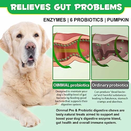 Probiotics for Dogs, 120 Chews Dog Probiotics Treats, Digestive Treats Dogs and Digestive Enzymes, Dog Digestive Health Gut, Immune Bowel Support, Reduce Diarrhea, Gas, Itchy Relief