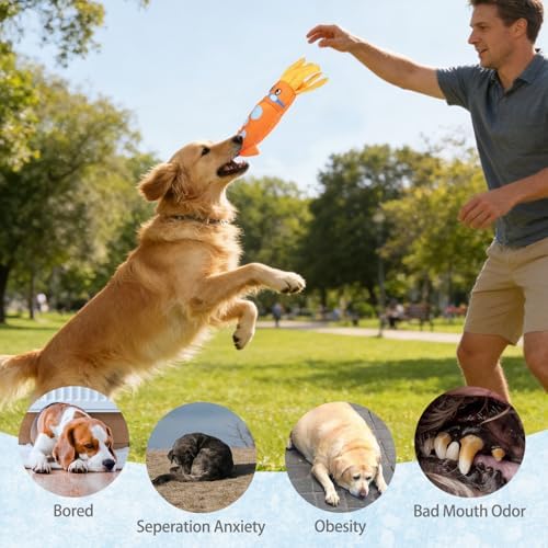 KOOLTAIL Squeaky Floating Dog Toys, 2-Pack, Octopus & Squid