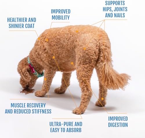 Eggshell Membrane Collagen Powder for Dogs - Hip, Joint, Skin