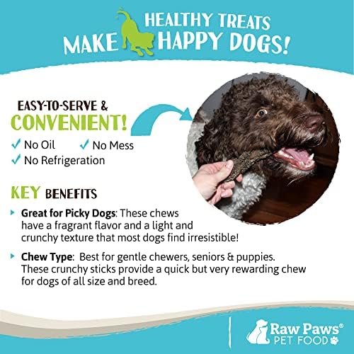 Raw Paws Green Beef Tripe Sticks for Dogs, 6-Inch (10-Count) - Dehydrated